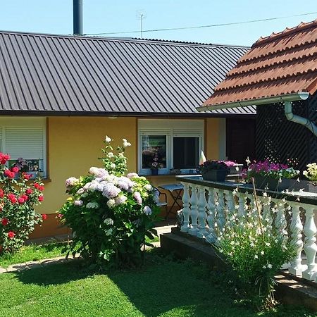 Dobrodosli Apartment Mursko Sredisce Екстериор снимка