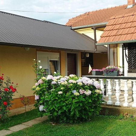 Dobrodosli Apartment Mursko Sredisce Екстериор снимка